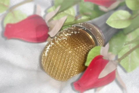 5120 Interviews at the Reception Stock Footage 642711