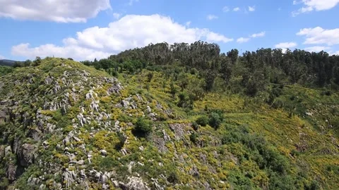 516 Arouca - Largest suspension bridge in the world - Paiva River in Portugal Video stock 153496687