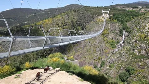 516 Arouca - Largest suspension bridge in the world - Paiva River in Portugal Video stock 153496725