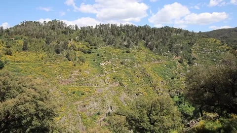 516 Arouca - Largest suspension bridge in the world - Paiva River in Portugal Video stock 153496887