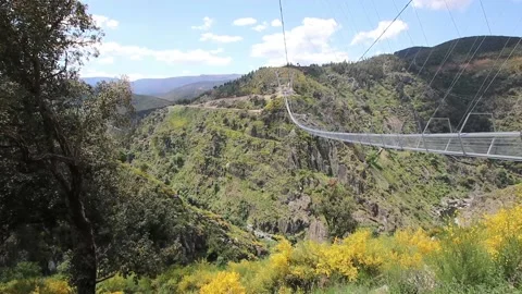 516 Arouca - Largest suspension bridge in the world - Paiva River in Portugal Video stock 153496991