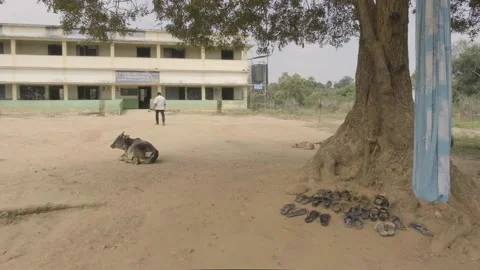 52. Exterior of the school Stock-Footage 149098191