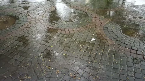 52 - light rain pools on the stone floor of the city park Stock Footage 197042850