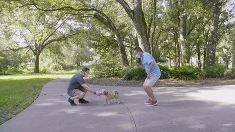 520 Two friends talking at the park with mask during Covid19 pandemic Stock-Footage 135260443
