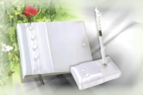 5205 Los Invitados  Stock Footage 665775