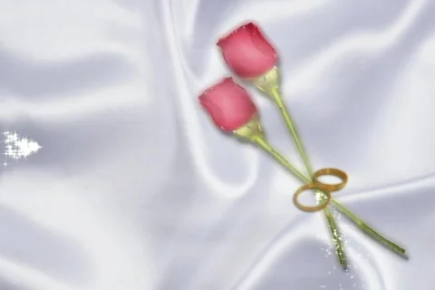 5207 Los Anillos  Stock Footage 665680