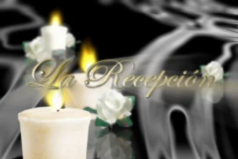 5209 La Recepción  Stock Footage 664440