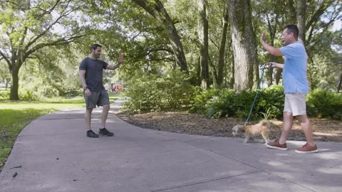 521 Two friends talking at the park and petting a dog Stock-Footage 135260469