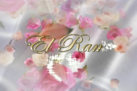 5212 El Ramo  Stock Footage 664266