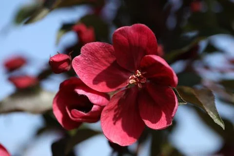 529A6280 Foto stock