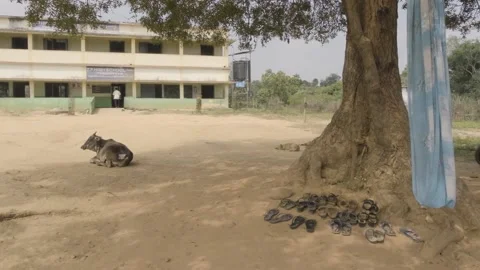 53. Exterior of the school Stock-Footage 149098177