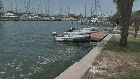 5334BoatsGPMarina Stock Footage 339640306