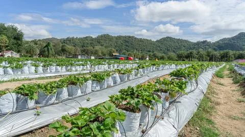 535 location Stock Photos