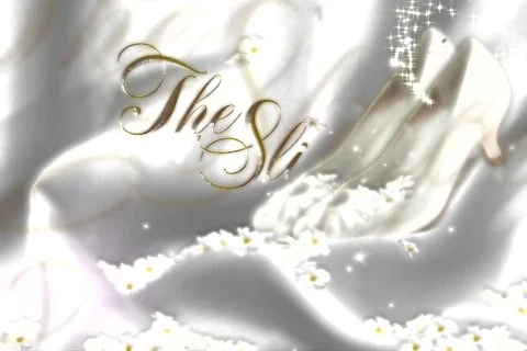 5414 The Slipper Ceremony  Stock Footage 710759