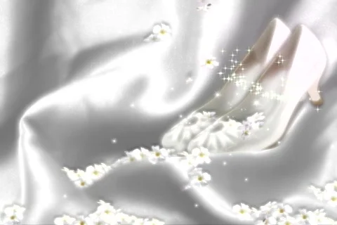 5415 Slipper Background, no text  Stock Footage 710746