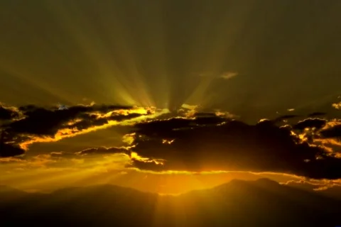 5508 Doves fly in sunset Stock Footage 711838