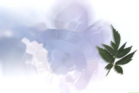 5517 Reflective Angle pool water waves Stock Footage 711565