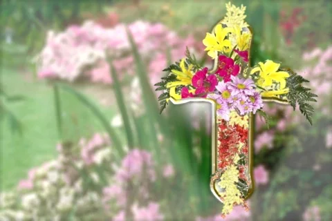 5522 Resurrection Stock Footage 711389