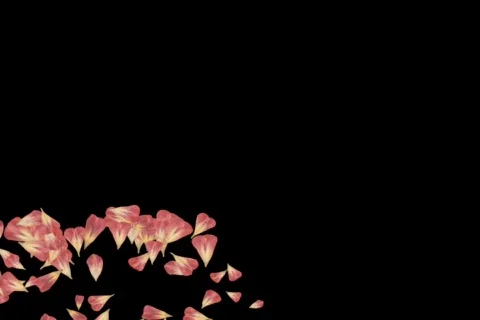 57 Pedal Lower Third Stock Footage 652179