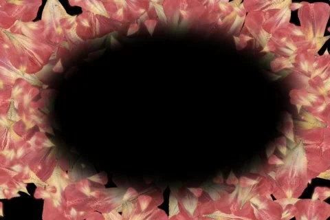 57 Pedals Frame Stock Footage 652384