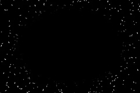 57 Rice Frame Stock Footage 652293