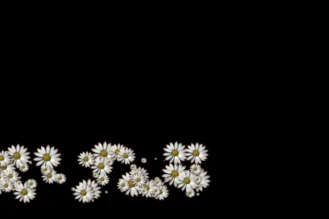 57 Rice Lower Third Stock Footage 652223