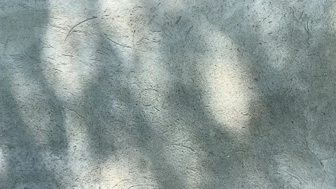 5707slow Stock Footage 134609521