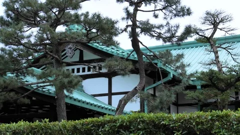 5709 A view of the plants and trees outside the Imperial Palace gardens in To Stock Footage 121402972