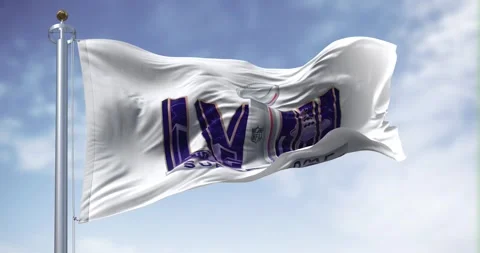 58th Super Bowl flag waving on a clear day Stock Footage 247265928