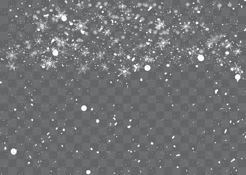 58Z 91 Stock Illustration