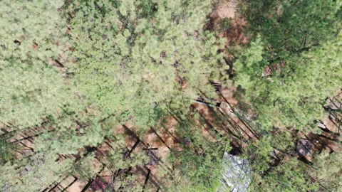 59. Drone footage overlooking deep mountain forests Stockbeeldmateriaal 303785173