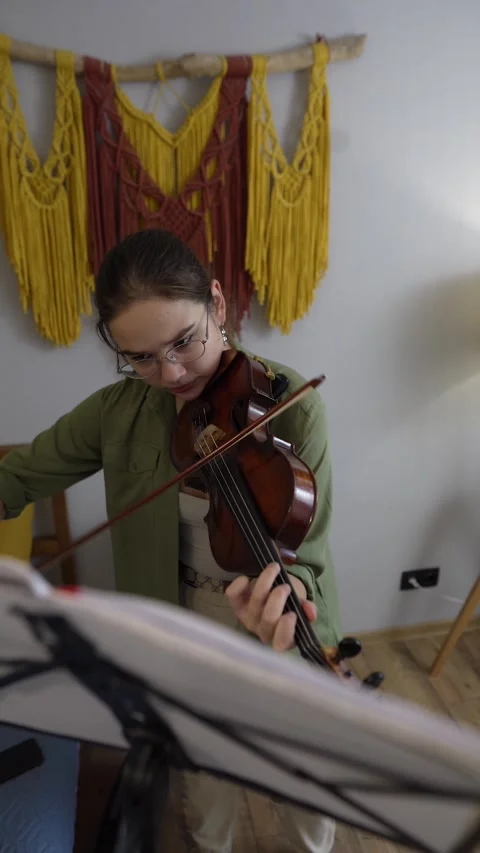 599Z Violin 54 Stock Footage 302157644