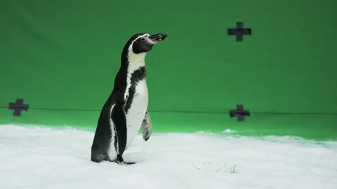 5fb15e0a3619e54e7a7651dd Stock Footage 143802584