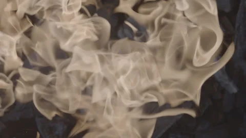 5fb15fb03619e54e7a765bbd Stock Footage 143801794