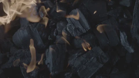 5fb15fe13619e54e7a765cdb Stock Footage 143801260