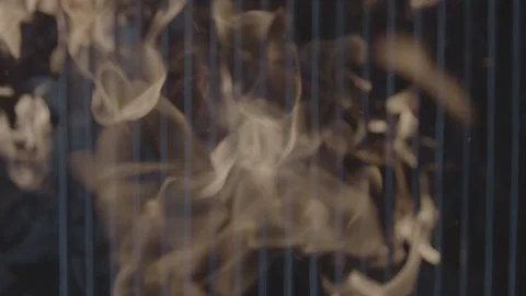 5fb164663619e54e7a76797c Stock Footage 143801746