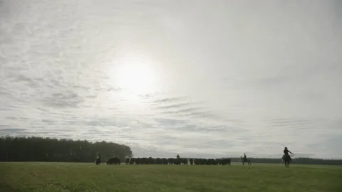 5fb545c18331385d902aa379 Stock Footage 143725532