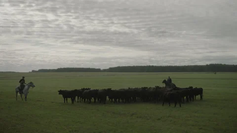 5fb546fc8331385d902aabab Stock Footage 143725008