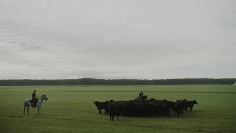 5fb548748331385d902ab9b5 Stock Footage 143727004