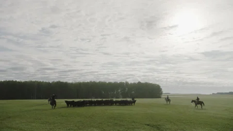 5fb549338331385d902ac0a4 Stock Footage 143726575