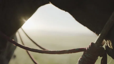 5fb6bfde37013b6df0fcfea9 Stock Footage 144128408