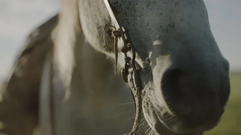 5fb6c19237013b6df0fd083b Stock Footage 144128084