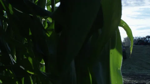 5fb6d23a37013b6df0fd6ba9 Stock Footage 144128857