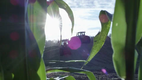 5fb6daa037013b6df0fd994e Stock Footage 144129739