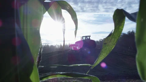 5fb6dccc37013b6df0fda7a5 Stock Footage 144129497