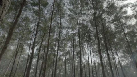 5fd2fe4c603c925ebedc5288 Stock Footage 145254194