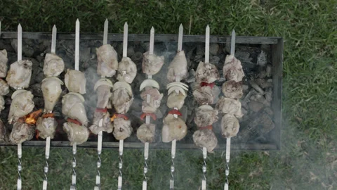 5fdad52ab290ec7dc8668c05 Stock Footage 145830550