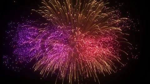 5G Network Internet connettivity celebration 스톡 동영상 162855751