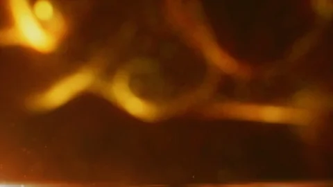 (5K 60fps) Loop - Fade In/Fade Out - Gold bokeh paricles in slow motion. Stock Footage 103330783