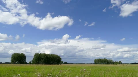 5k - Field and forest (timelapse) Stock Footage 54407941